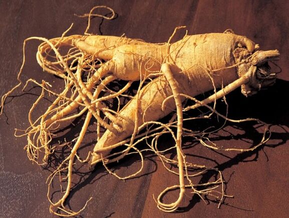 Ginseng