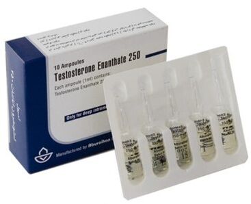 Hormonal stimulants of potency in men